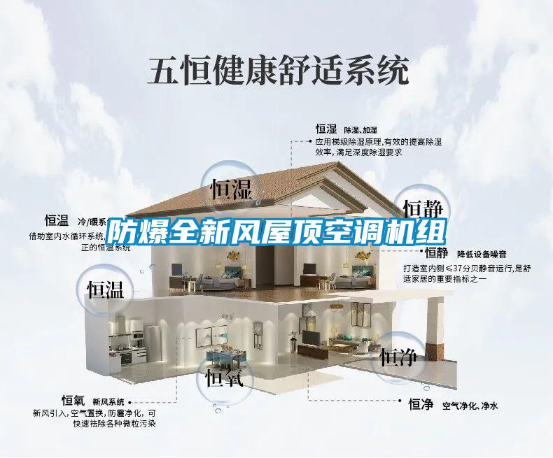 防爆全新風(fēng)屋頂空調(diào)機組