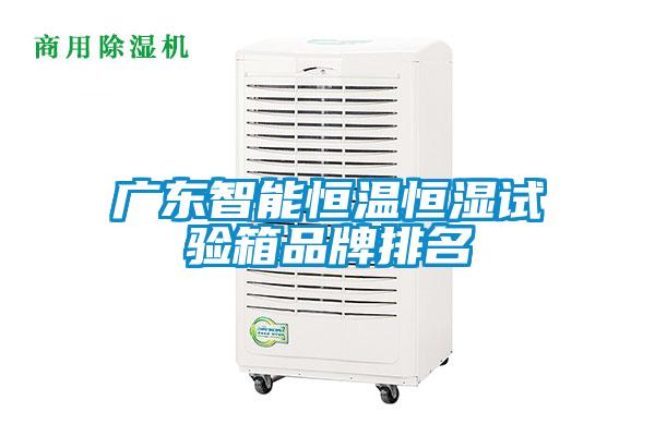 廣東智能恒溫恒濕試驗箱品牌排名