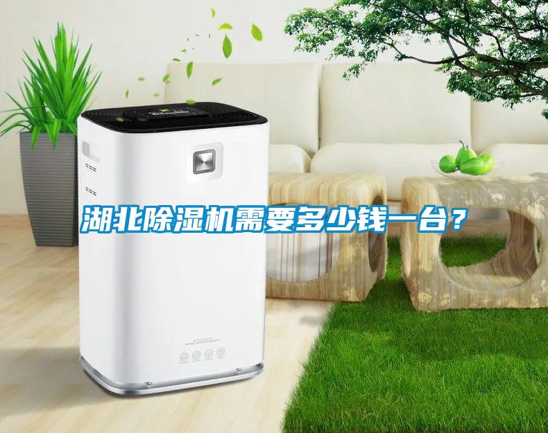 湖北除濕機(jī)需要多少錢(qián)一臺(tái)？
