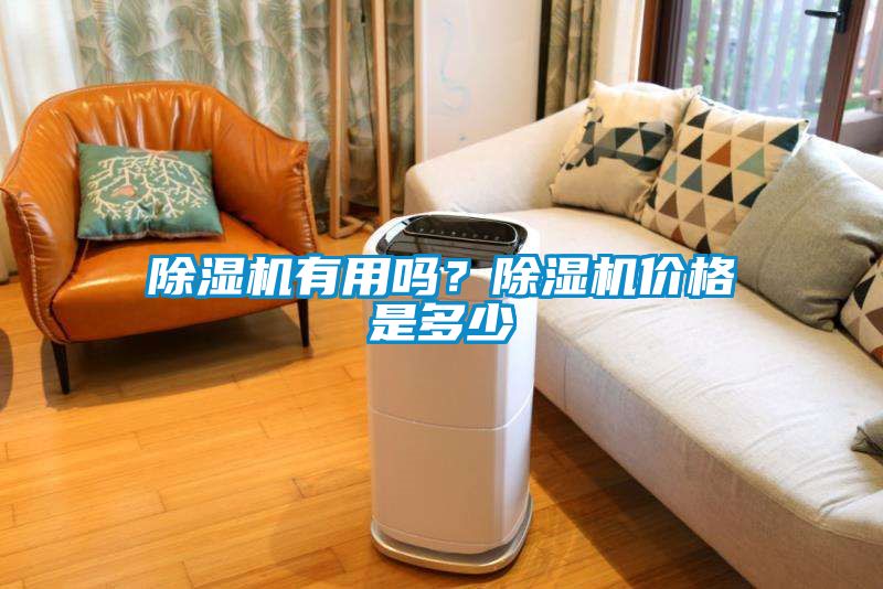 除濕機(jī)有用嗎？除濕機(jī)價格是多少