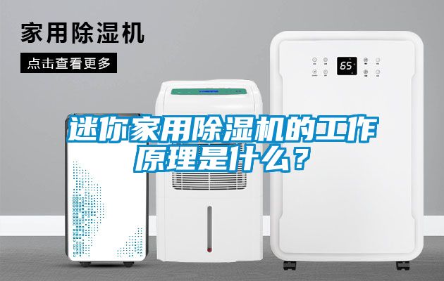 迷你家用除濕機(jī)的工作原理是什么？