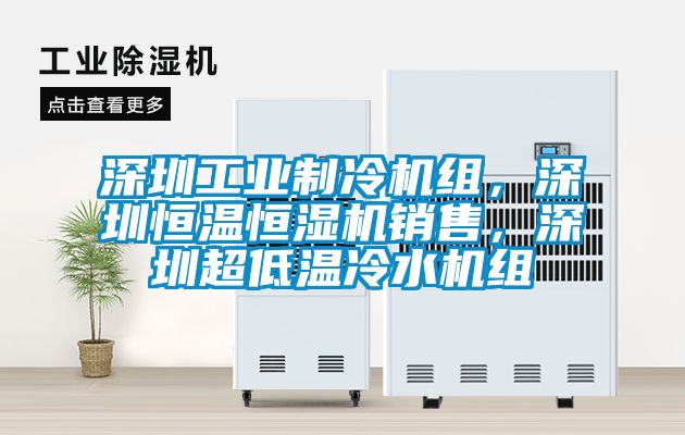 深圳工業制冷機組，深圳恒溫恒濕機銷售，深圳超低溫冷水機組