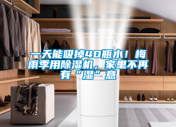 一天能吸掉40瓶水！梅雨季用除濕機，家里不再有“濕”意