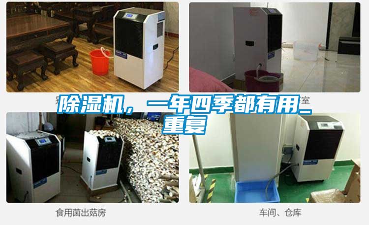 除濕機，一年四季都有用_重復