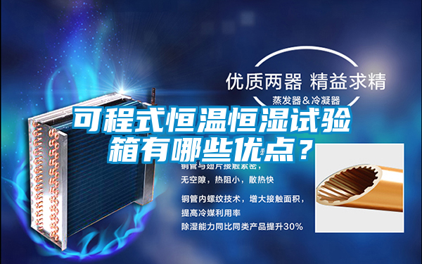 可程式恒溫恒濕試驗箱有哪些優點？