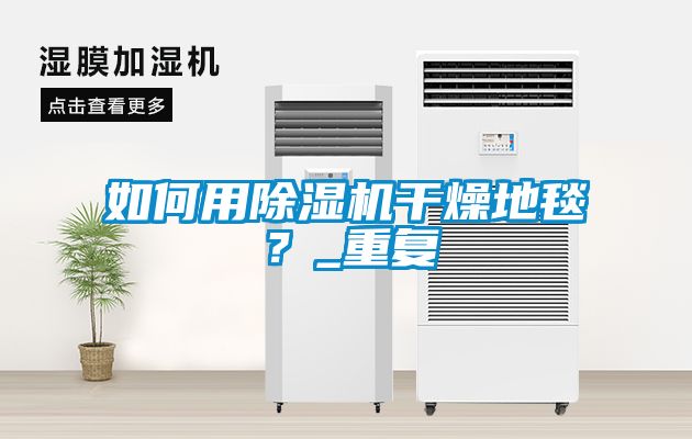 如何用除濕機干燥地毯？_重復(fù)