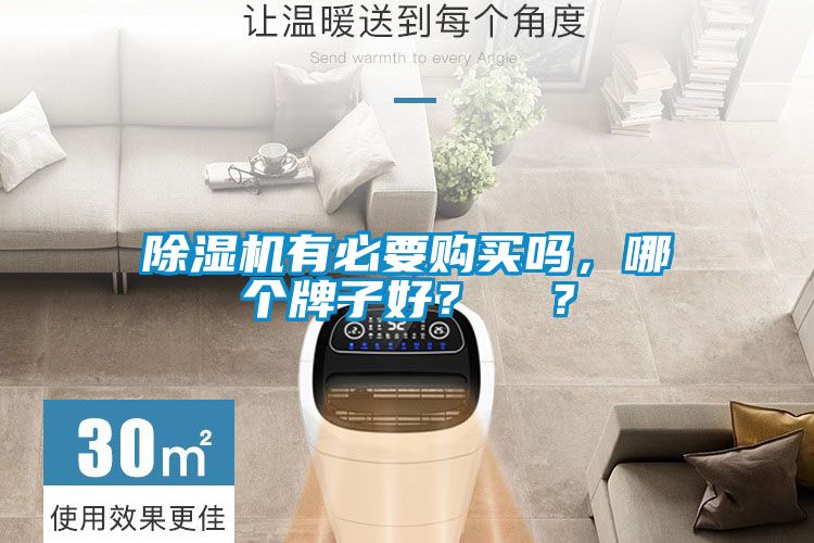 除濕機(jī)有必要購買嗎，哪個(gè)牌子好？  ？