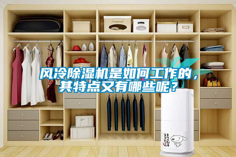 風冷除濕機是如何工作的，其特點又有哪些呢？