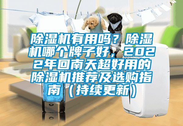 除濕機有用嗎？除濕機哪個牌子好，2022年回南天超好用的除濕機推薦及選購指南（持續(xù)更新）