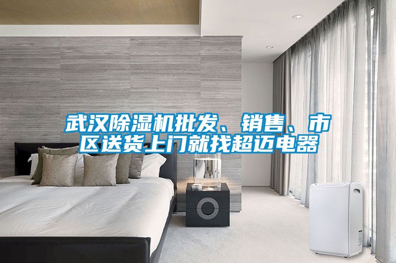 武漢除濕機批發、銷售、市區送貨上門就找超邁電器