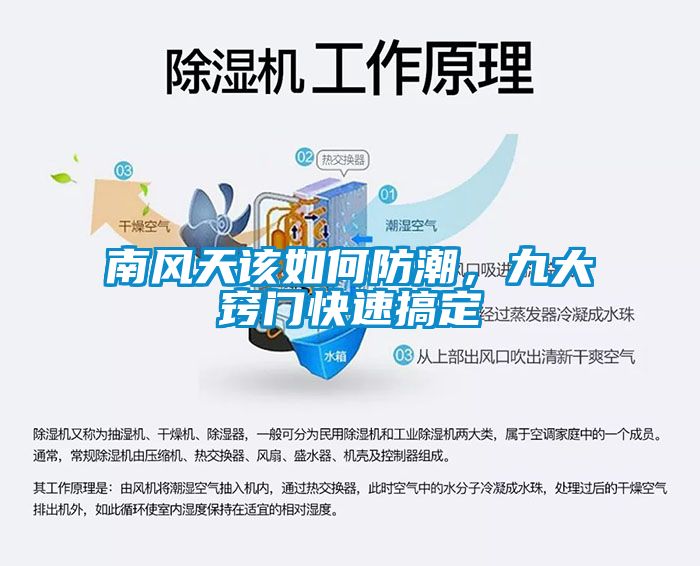 南風(fēng)天該如何防潮，九大竅門(mén)快速搞定