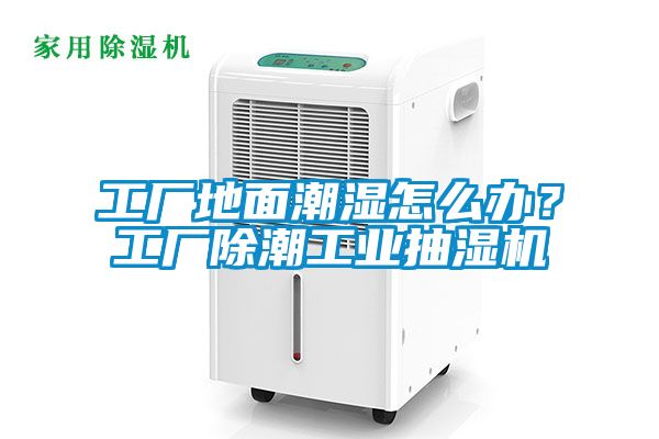 工廠地面潮濕怎么辦？工廠除潮工業抽濕機