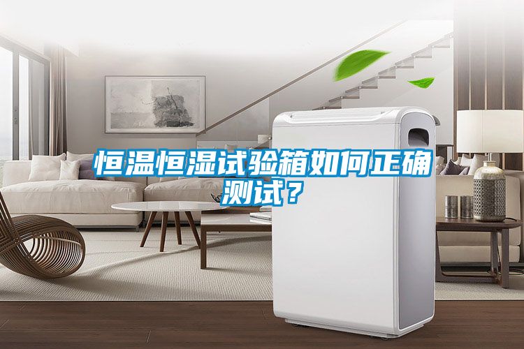 恒溫恒濕試驗(yàn)箱如何正確測試？