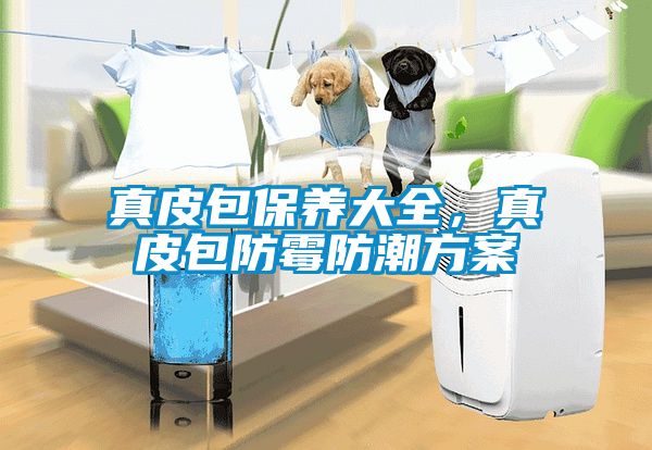 真皮包保養大全，真皮包防霉防潮方案