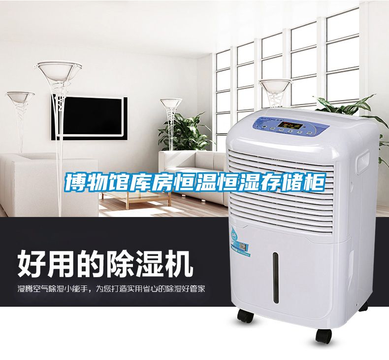 博物館庫房恒溫恒濕存儲(chǔ)柜