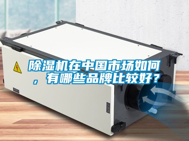 除濕機在中國市場如何，有哪些品牌比較好？