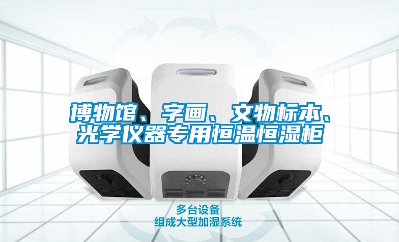 博物館、字畫、文物標(biāo)本、光學(xué)儀器專用恒溫恒濕柜