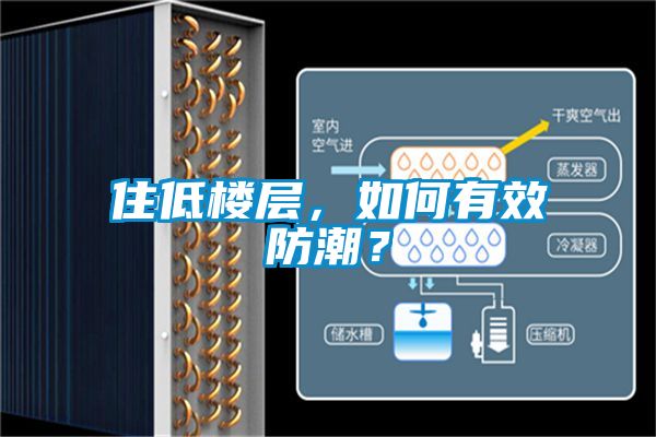 住低樓層，如何有效防潮？