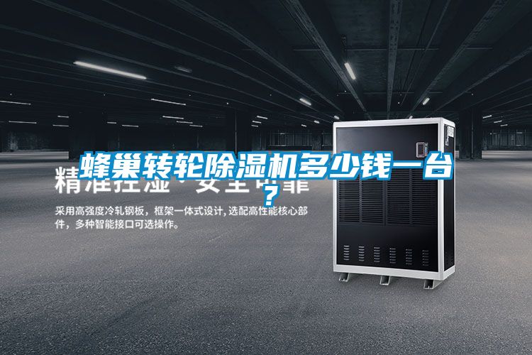蜂巢轉輪除濕機多少錢一臺？