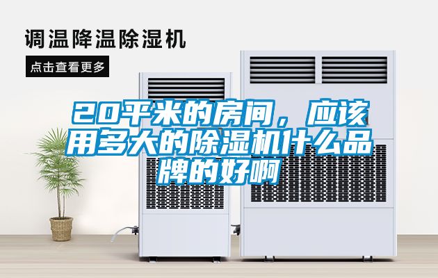20平米的房間，應該用多大的除濕機什么品牌的好啊