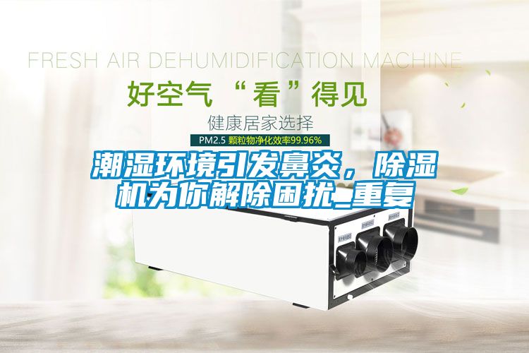 潮濕環境引發鼻炎，除濕機為你解除困擾_重復