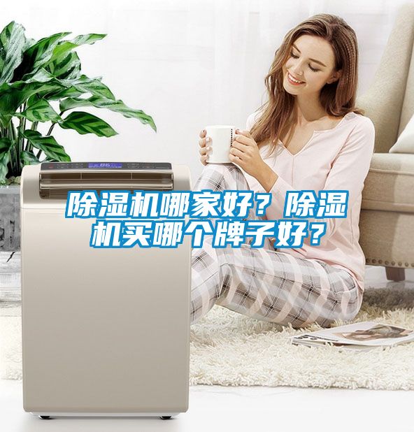 除濕機(jī)哪家好？除濕機(jī)買哪個牌子好？