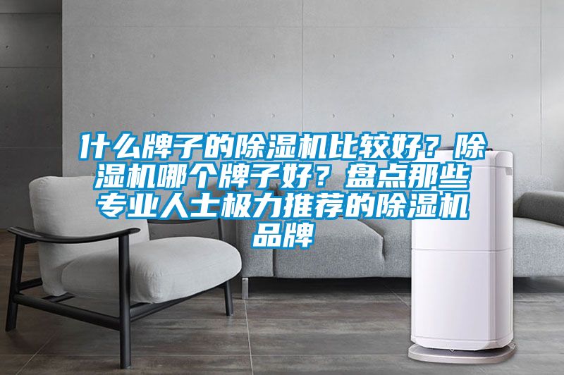 什么牌子的除濕機(jī)比較好？除濕機(jī)哪個(gè)牌子好？盤(pán)點(diǎn)那些專業(yè)人士極力推薦的除濕機(jī)品牌