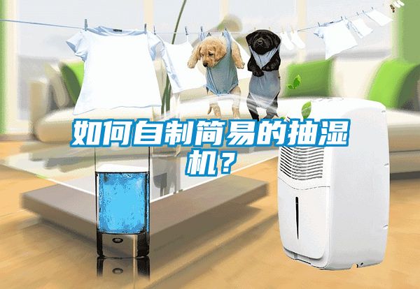 如何自制簡易的抽濕機(jī)？