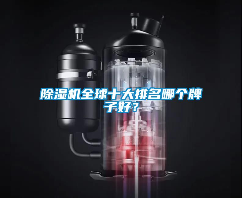 除濕機(jī)全球十大排名哪個(gè)牌子好？