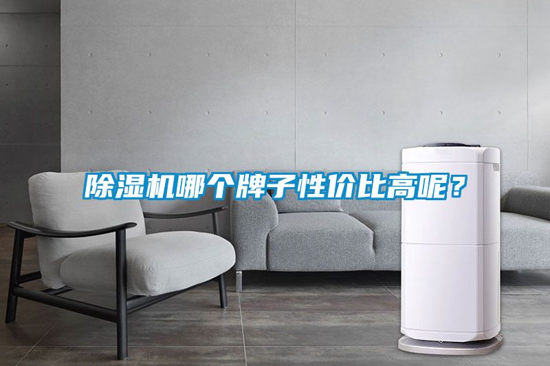 除濕機(jī)哪個牌子性價比高呢？