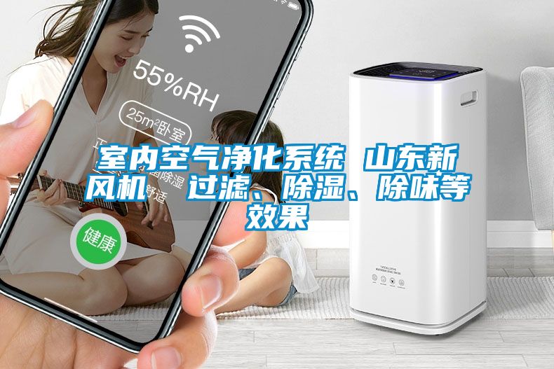 室內空氣凈化系統 山東新風機  過濾、除濕、除味等效果