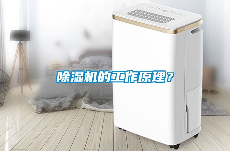 除濕機的工作原理？
