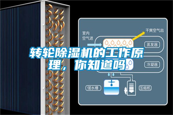 轉輪除濕機的工作原理，你知道嗎