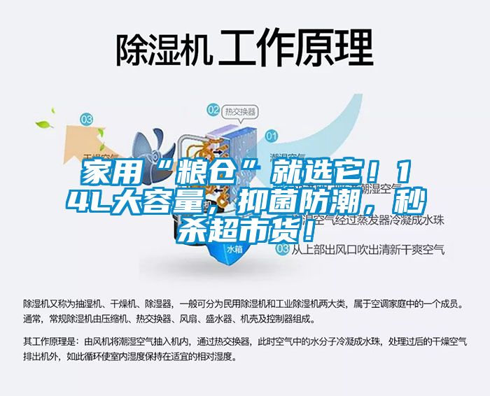 家用“糧倉(cāng)”就選它！14L大容量，抑菌防潮，秒殺超市貨！