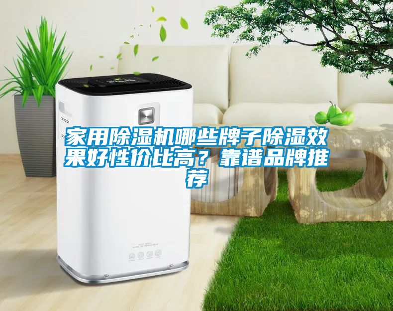 家用除濕機哪些牌子除濕效果好性價比高？靠譜品牌推薦
