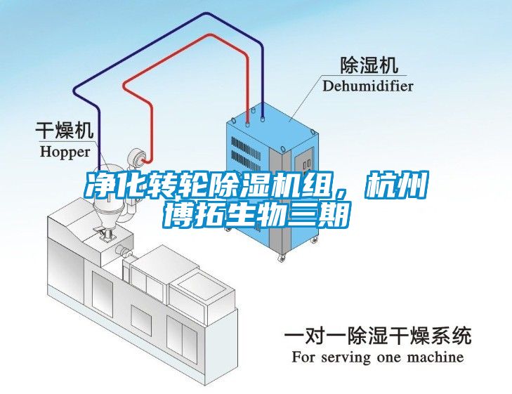 凈化轉輪除濕機組，杭州博拓生物三期