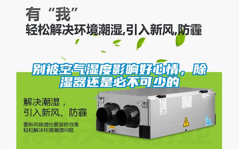別被空氣濕度影響好心情，除濕器還是必不可少的
