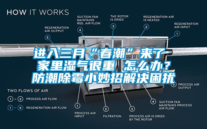 進入三月“春潮”來了 家里濕氣很重 怎么辦？防潮除霉小妙招解決困擾