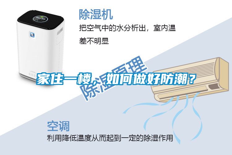 家住一樓，如何做好防潮？